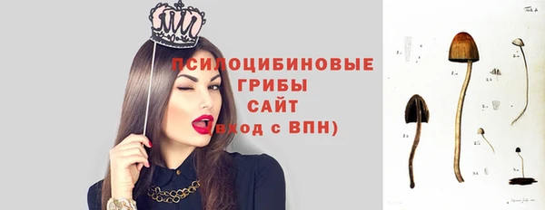 эйфоретик Алзамай