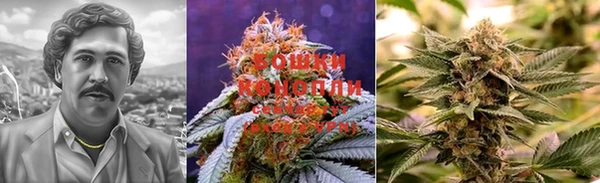 индика Покровск